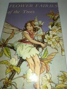 【中古洋書】シシリー・メアリー・バーカー Flower Fairies of The Trees 24カット10.5cm16.8cm 森永ハイクラウン 妖精