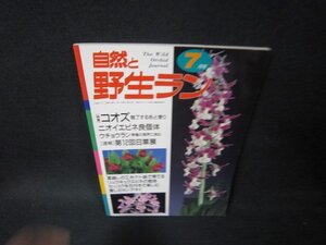 自然と野生ラン1998年7月号　コオズ・ニオイエビネ　折れ目有/PDA