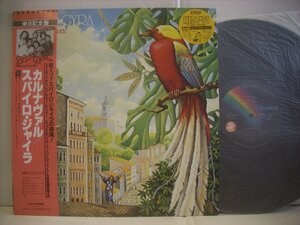 ●帯付 LP スパイロ・ジャイラ / カルナヴァル ウィルリー ブレッカー兄弟 SPYRO GYRA CARNAVAL 1980年 ◇r41202