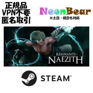Remnants of Naezith Steam製品コード