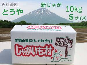  (近藤農園直送) 北海道羊蹄山麓産【とうや】正品 Sサイズ 10kg 