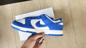 新品 国内正規品 NIKE DUNK LOW ナイキ ダンク LOW アンロックド By You Kentucky ケンタッキー