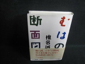 むはの断面図　椎名誠　日焼け有/RAF