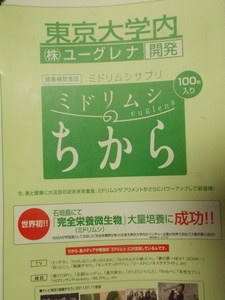 非売品.店舗用解説シートｘ6【東京大学内(株)ユーグレナ開発 ミドリムシのちから/健康補助食品ミドリムシサプリ】下敷/2011年/ジャンク