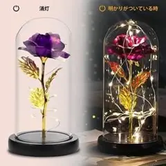 インテリアに✨ プリザーブドフラワー 置物 お洒落 可愛い 枯れない 造花