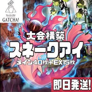 即日発送！大会用　罪宝スネークアイ　デッキ　遊戯王　まとめ売り　原罪のディアベルゼ