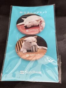 お父さんマグネット！北海道犬　白い犬　SoftBank販促品　非売品　ノベルティグッズ　おまけ　柴犬