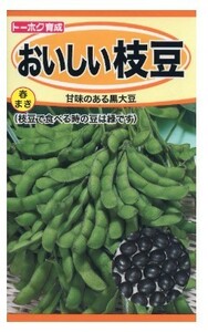 枝豆 おいしい枝豆 種 種子 家庭菜園 プランター栽培 豆