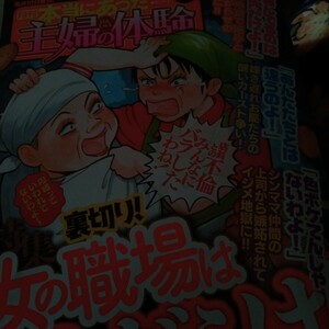 本当にあった主婦の体験 2024年 5月号/本当にあった主婦の体験編集部小野拓実　まるいぴよこ桐野さおり　レディースコミック