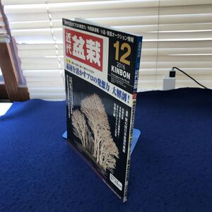 C02-173 盆栽総合誌 月刊近代盆栽2016年12月号 近代出版 特集 素材を活かすプロの発想力