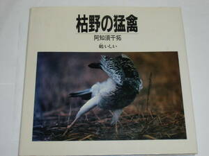 枯野の猛禽　阿知須干拓　　鶴（かく）いしい