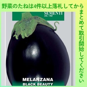 4件以上落札◆イタリアナス種◆ブラックビューティー 13粒◆固定種イタリアンナス 米ナスの先祖なす丸茄子