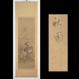 【真作】【渡鹿庵】[斎藤秋圃] 15586 掛軸 日本画 すすきに鹿の図 合箱 絹本 花鳥図 福岡 秋月 四条派 筑前四大画家 在銘