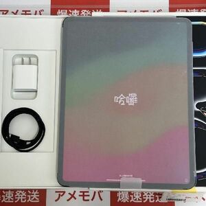 iPad Pro 13インチ 第1世代 1TB Apple版SIMフリー バッテリー10 新品[27700614]