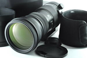 美品 シグマ Sigma 150-600mm f/5-6.3 DG OS HSM Sports Lens for Canon EF 専用ケース フード 三脚座付き[US0001]