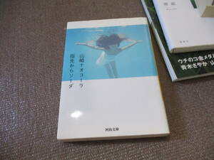 E 指先からソーダ (河出文庫)2010/8/4 山崎 ナオコーラ