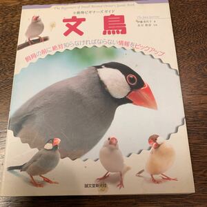 文鳥 （ＳＭＡＬＬ　ＡＮＩＭＡＬ　ＰＯＣＫＥＴ　ＢＯＯＫ　ＳＥＲＩＥＳ　小動物ビギナーズガイド） 伊藤美代子／著　井川俊彦／写真