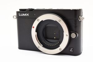 ★極上★ パナソニック Panasonic LUMIX DMC-GM5 ボディ ブラック 《バッテリー・充電器付！》★完動品★ #55P58A41231183