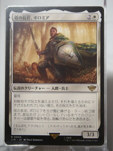 7429/塔の長官、ボロミア/Boromir, Warden of the Tower/指輪物語：中つ国の伝承【通常版】/【日本語】