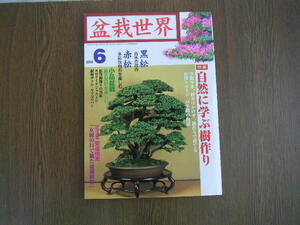 ∞　盆栽世界　2000年6月号　◆特集・自然に学ぶ樹作り◆　2000年6月号　通巻366号　新企画出版局、刊　◎濡れシワ有り◎