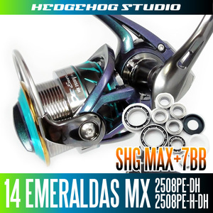 【ダイワ】14エメラルダスMX 2508PE-DH,2508PE-H-DH用 MAX13BB フルベアリングチューニングキット【SHGプレミアム】/.