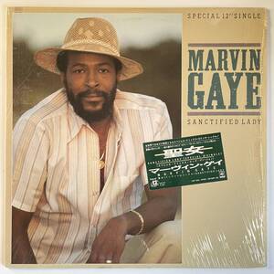 Marvin Gaye - Sanctified Lady (Special 12 Single)