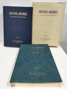 【付表付】神奈川県の現存植生　神奈川県教育委員会/植物学【ac06c】