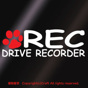 あしあと/REC DRIVE RECORDER /ステッカー ドラレコ/肉球、ねこ、いぬ/15cm