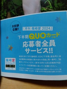 篠崎愛２０２４下半期QUOカード応募券(この１枚では応募できません)