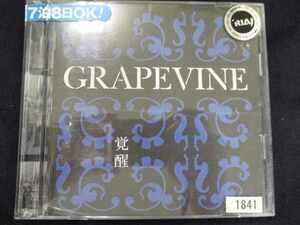 r05 レンタル版CD 覚醒~10th Anniversary Special Package~/GRAPEVINE 1841