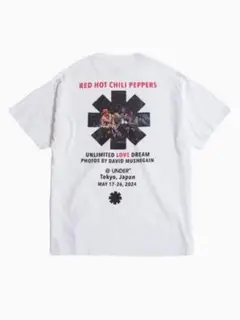 RHCP UNDER R ロンハーマン　レッチリ　Tシャツ　Lサイズ