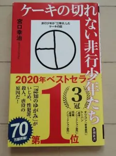 ケーキの切れない非行少年たち 宮口幸治