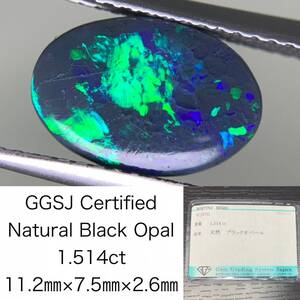 ブラックオパール 1.514ct 宝石ソーティング付き 11.2×7.5×2.6 ルース（ 裸石 ） 2656Y