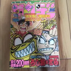 週刊少年サンデー１９９４年２５号表紙うしおととら 新連載ガンバFlyhigh