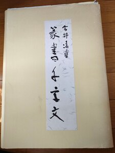 第40回 今井凌雪 書 篆書千字文 全88枚セット揃い 2005 初版第1刷 書法研究雪心会/書道/習字/書法/書体/作品集/図録/非売品/Z3270026