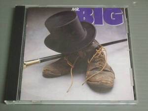 *MR.BIG/Mr.big★CD