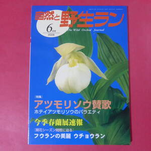 YN3-250109☆自然と野生ラン 2008年6月号　※ アツモリソウ 春蘭 フウラン ウチョウラン ※ 園芸JAPAN