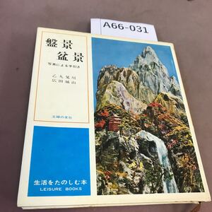 A66-031 盤系・盆系 主婦の友社 