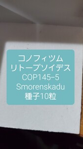 コノフィツム　リトープソイデス COP145-5, Smorenskadu 種子10粒