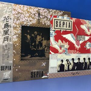 Y帯付LP 一世風靡SEPIA 花鳥風月 ステッカー付 レコード 5点以上落札で送料無料