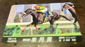 テレカ50度数1995-4-16中山競馬場第55回皐月賞ジェニュイン岡部幸雄