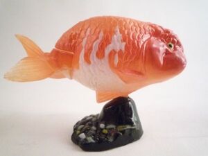 ランチュウ らんちゅう 金魚 きんぎょ 赤色 フィギュア 動物 スタンドあり