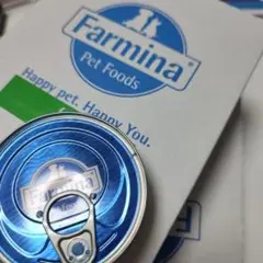 Farmina Vet Life 腎臓ケア 缶詰 24こ