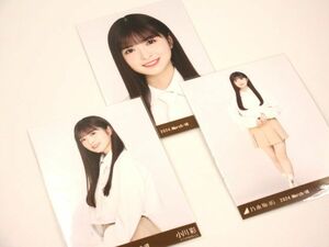 ■乃木坂46 小川彩 生写真 3種 コンプリート 2024.March-Ⅶ 12周年 会場販売 ヨリ 横顔 アイドルグッズ コレクション品