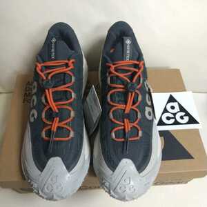 ■新品　国内正規品　NIKE ACG MOUNTAIN FLY2 LOW GTX　30cm　ナイキ　マウンテンフライ2 ロー　ゴアテックス　雨 梅雨対策にも