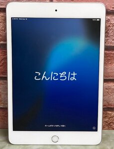 1円～ ●Apple iPad mini 第5世代 / Wi-Fi + Cellular / 256GB / シルバー / iOS 18.2 / 7.9型 (2048x1536) / バッテリー81% / MUXD2J/A