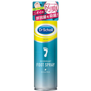 【5セット】 Scholl