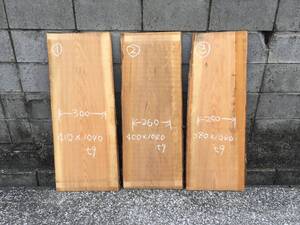 ②小杉 材料 屋久島産 世界遺産 逸品 貴重 材料 希少 杢 杢目 良杢