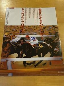 【007】非売品　名馬　クリアファイル　ヒーロー列伝 No.16 キョウエイプロミス　JRA キャンペーン