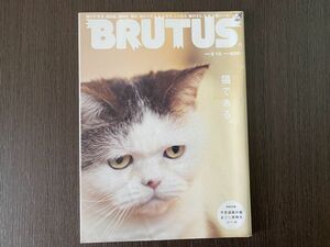 brutus 猫である。